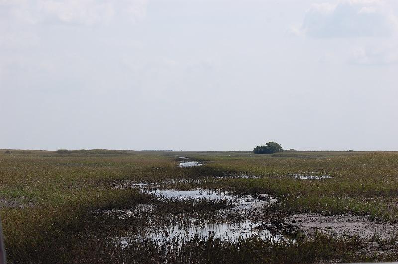 503. everglades.JPG